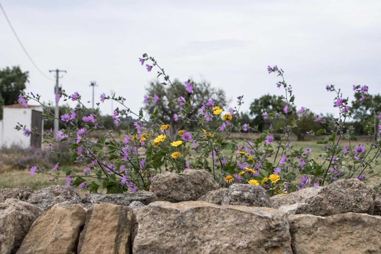 לינה וארוחת בוקר קסטלנטה Ych-Le Grotte Di Sileno מראה חיצוני תמונה