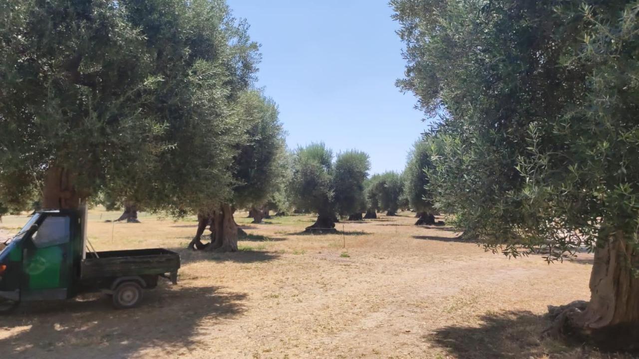 לינה וארוחת בוקר קסטלנטה Ych-Le Grotte Di Sileno מראה חיצוני תמונה